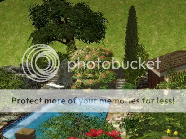 snapshot_00000021_f66a9346.jpg