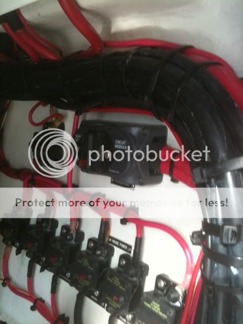 Marine Wiring Perfection [pics] - The Hull Truth - Boating and Fishing