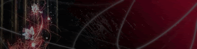 4.gif
